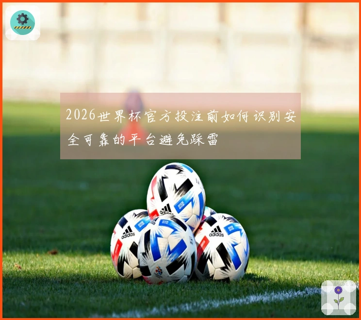 2026世界杯官方投注前如何识别安全可靠的平台避免踩雷