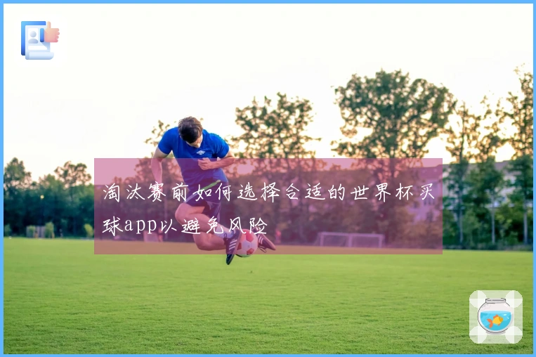 淘汰赛前如何选择合适的世界杯买球app以避免风险