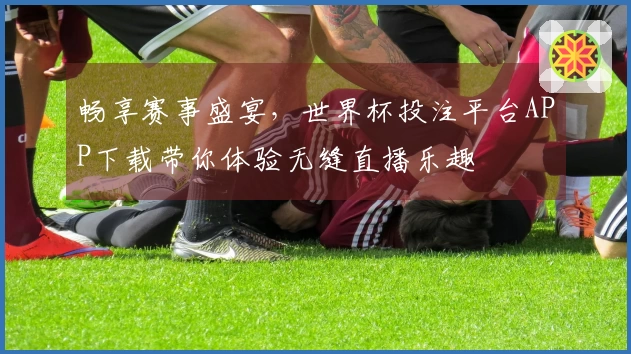 畅享赛事盛宴，世界杯投注平台APP下载带你体验无缝直播乐趣