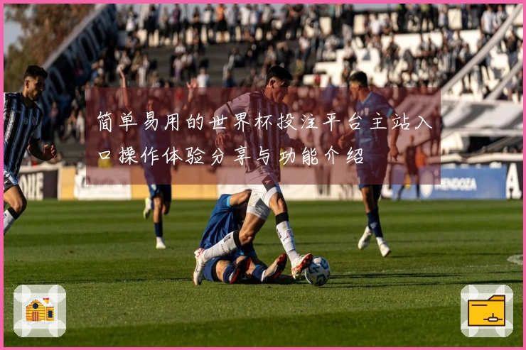 简单易用的世界杯投注平台主站入口操作体验分享与功能介绍