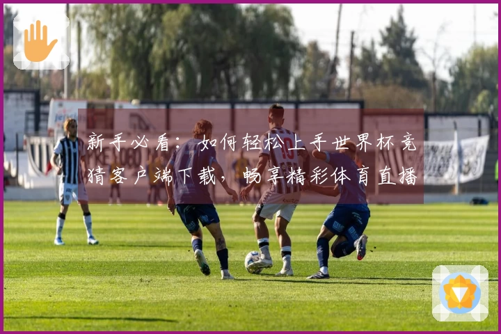 新手必看：如何轻松上手世界杯竞猜客户端下载，畅享精彩体育直播体验