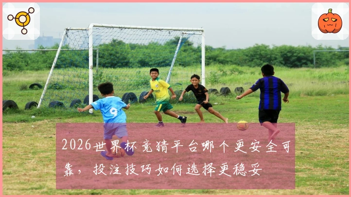 2026世界杯竞猜平台哪个更安全可靠，投注技巧如何选择更稳妥