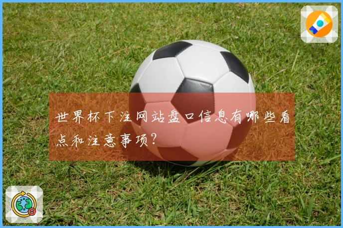 世界杯下注网站盘口信息有哪些看点和注意事项？