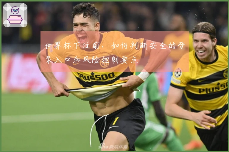 世界杯下注前，如何判断安全的登录入口和风险控制要点