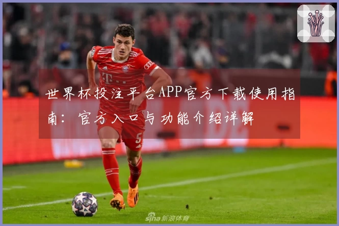 世界杯投注平台APP官方下载使用指南：官方入口与功能介绍详解