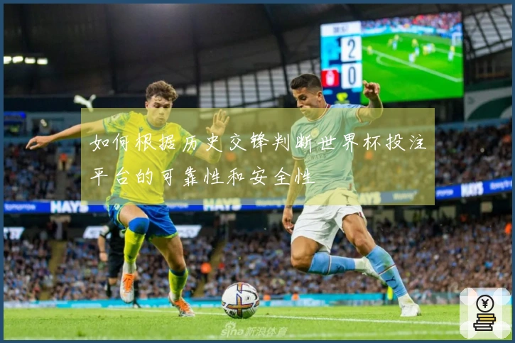 如何根据历史交锋判断世界杯投注平台的可靠性和安全性