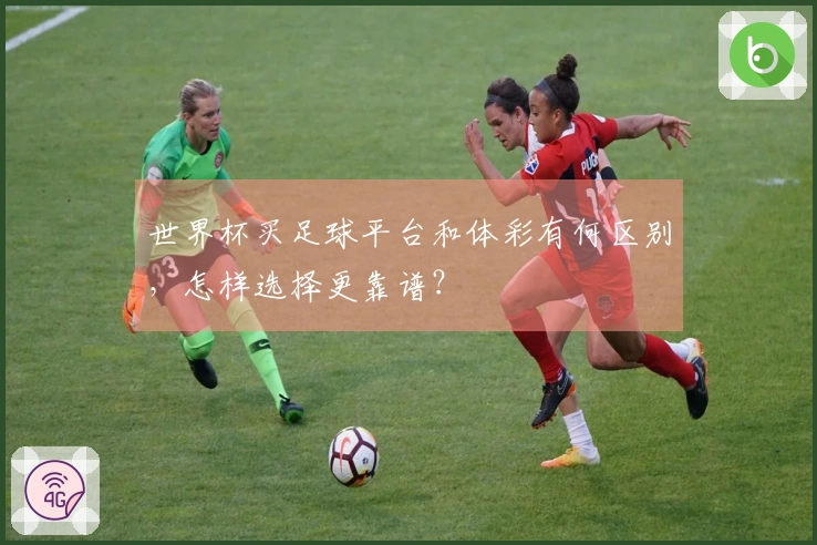 世界杯买足球平台和体彩有何区别，怎样选择更靠谱？