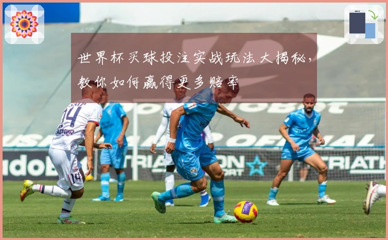 世界杯买球投注实战玩法大揭秘，教你如何赢得更多赔率