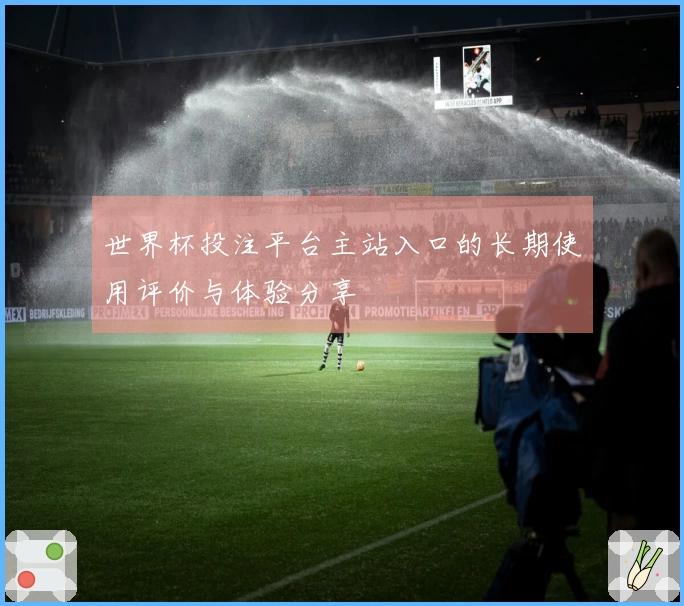 世界杯投注平台主站入口的长期使用评价与体验分享