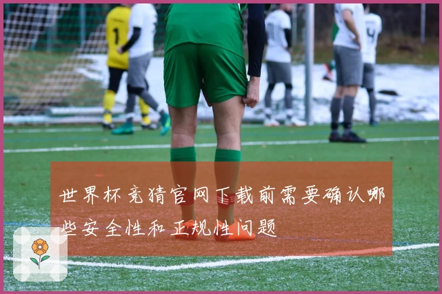 世界杯竞猜官网下载前需要确认哪些安全性和正规性问题