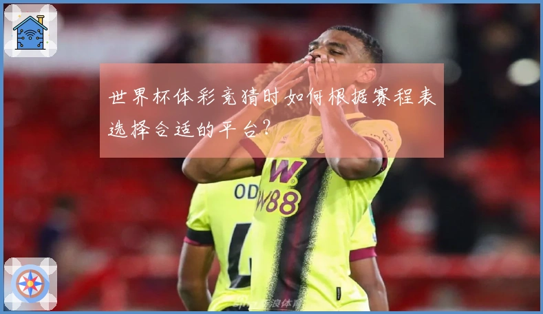 世界杯体彩竞猜时如何根据赛程表选择合适的平台？