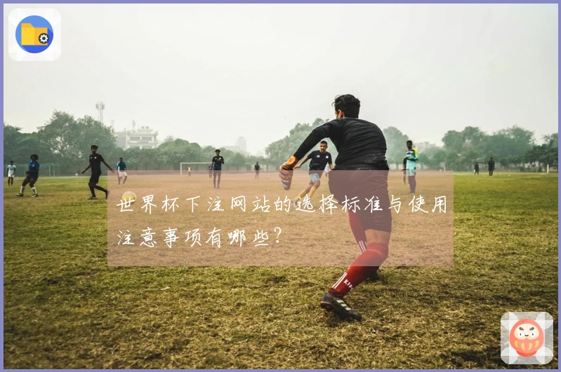 世界杯下注网站的选择标准与使用注意事项有哪些?