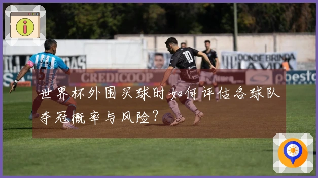 世界杯外围买球时如何评估各球队夺冠概率与风险？