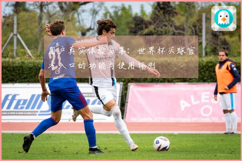用户真实体验分享：世界杯买球官方入口的功能与使用评测