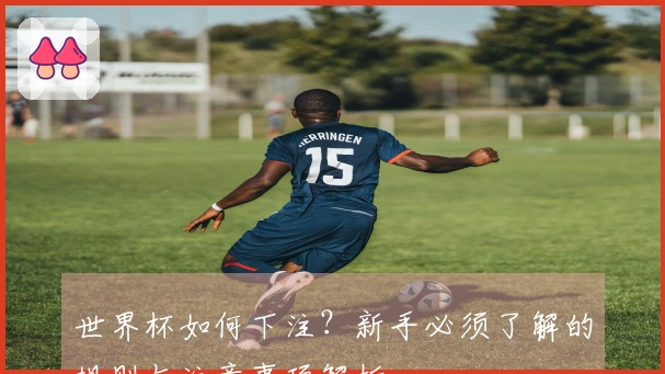 世界杯如何下注？新手必须了解的规则与注意事项解析