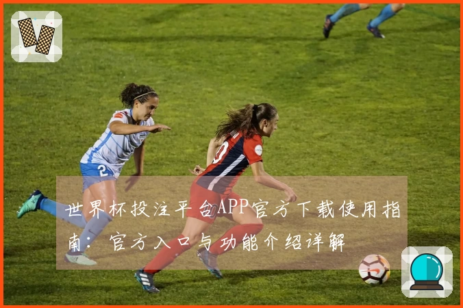 世界杯投注平台APP官方下载使用指南：官方入口与功能介绍详解